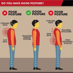 postures and body